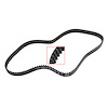 TB310 Timing Belt for 1999-2005 Daewoo, Chevrolet 1.6L - image 1