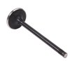 V1620 Intake Engine Valve for Ford, 1.6L - image 2