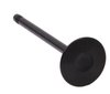 V1620 Intake Engine Valve for Ford, 1.6L - image 3