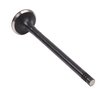 V1621 Exhaust Engine Valve for 2011-2018 Ford 1.6L - image 2