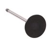 V1660 Intake Engine Valve for Ford, 1.6L - image 2