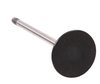 V1660 Intake Engine Valve for Ford, 1.6L - image 3
