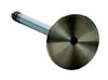 V1797 Exhaust Engine Valve for 1973-1978 Buick, Pontiac 5.7L, 6.6L - image 2
