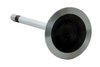 V2388 Intake Engine Valve for Ford, 4.6L, 5.4L, 6.8L - image 2