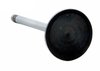 V2402 Intake Engine Valve for Chrysler, 3.3L 201, 3.8L 232 - image 2