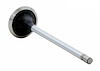 V3188 Intake Engine Valve for Ford/International Harvester, 7.3L - image 1