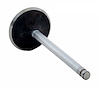V3214 Intake Engine Valve for GM, 3.8L 231 - image 1