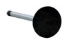 V3408 Intake Engine Valve for Chrysler, 3.2L, 3.5L 197, 215 ci - image 2