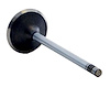 V4350 Intake Engine Valve for GM, 2.2L 134 - image 1