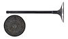 V4356 Intake Engine Valve for Cummins, 5.9L 359 - image 1