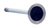 V4361 Exhaust Engine Valve for 1999-2002 Oldsmobile 3.5L, 4.0L - image 2