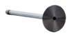 V4374 Intake Engine Valve for Ford, 6.0L 365, POWERSTROKE - image 2