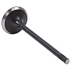 V4424 Intake Engine Valve for GM/Chevrolet, 2.9L, 3.7L, 4.2L - image 1