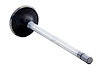 V4444 Intake Engine Valve for Ford, 6.4L, POWERSTROKE - image 1