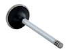 V4459 Exhaust Engine Valve for 2009-2021 Chrysler, Dodge 5.7L - image 1