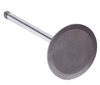 V4496 Intake Engine Valve for Ford, 6.2L 379 - image 3