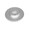 EVOLUTION COATED ROTOR - image 1
