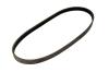BELT - image 1