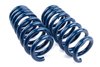 D100-0935 Dinan Performance Spring Set, 2020-2025 BMW X3M / X4M - image 2