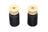 D193-3071 Dinan Supplemental Ride Quality & Handling Kit, 2017-2023 BMW 540i/M550i xDrive - image 1