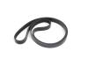 DRIVE BELT - image 1