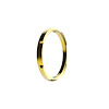 FLEX ERA 1 BEZEL RING - image 1