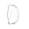 GRAVTY? TITAN/PRO6 SHIELD - image 2
