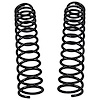 DL RT COIL SPRG PR FRT JP - image 1