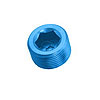 Powerflow Pipe Plug 1/4 in. NPT Blue - image 1