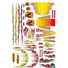 Flames Decal Sheet - image 1