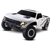 Ford F-150 SVT Raptor 1/10 Scale - image 1