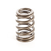 Valve Spring 87-97 YJ/XJ/MJ/ZJ/SJ - image 1