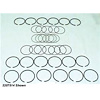 Piston Ring Set 5.9L .020 inch Over 1972-1991 Models - image 1