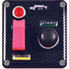 Molded CF Switch Panel 2 Switch - image 1