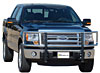 Big Tex Grille Guard 2009-13 F-150 - image 1