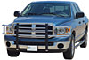Big Tex Grille Guard 2006-08 Ram Sport - image 1