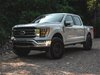F150 Upper Control Arms - image 2
