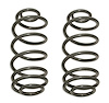 Coil Springs 4 in. Lift Rear Pair - image 1