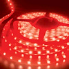 STRIP LIGHT - image 1