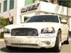 Billet Grille Insert 2005-2010 Charger - image 1