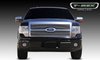 Billet Grille Insert 2009-12 Ford F-150 Platinum - image 2