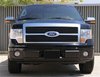 Billet Grille Insert 2009-2012 Ford F-150 Platinum - image 2