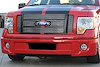 Billet Grille Insert 2009-12 F-150 Lariat & King Ranch - image 1