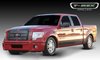 Billet Grille Insert 2009-12 F-150 Lariat & King Ranch - image 2