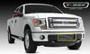 Billet Bumper Grille 2009-13 Ford F-150 - image 2