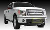 Billet Bumper Grille 2009-13 Ford F-150 - image 3