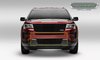 Ford Explorer Bumper Billet Grille Insert 2pcs Insert All Black - image 2
