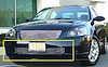 Billet Bumper Grille 2005-06 for Nissan fits Altima - image 1