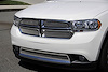 Sport Series Mesh Grille 2011-13 Dodge Durango - image 1