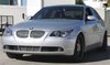 Sport Series Mesh Grille 2006-08 BMW 5 Series - image 2